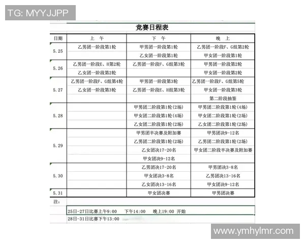 西安羽毛球队在锦标赛中的技术表现分析与总结